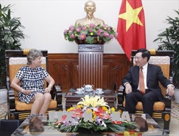 Phó Thủ tướng Phạm Bình Minh tiếp Đại sứ Tây Ban Nha 