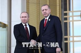 Tổng thống Nga và Thổ Nhĩ Kỳ điện đàm về vấn đề Syria, Gaza 