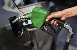 Giá dầu thế giới nhích lên sau báo cáo lượng dầu thô Mỹ sụt giảm