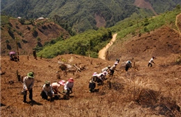  &#39;Chông chênh&#39; công tác giảm nghèo bền vững