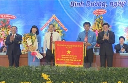 Bà Trương Thị Bích Hạnh tái đắc cử Chủ tịch Liên đoàn lao động Bình Dương 