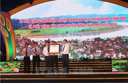 Nam Đàn - Nghệ An đón bằng công nhận huyện đạt chuẩn nông thôn mới