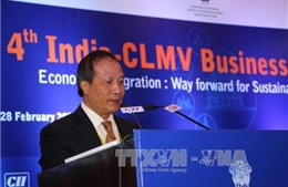 Việt Nam tham gia tăng cường hội nhập khu vực CLMV - Ấn Độ