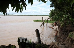 Vĩnh Long:Hỗ trợ các hộ bị thiệt hại do sạt lở bờ sông ổn định đời sống 