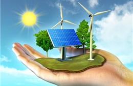 Yêu cầu báo cáo về giá thành năng lượng tái tạo có tới 30% ở quy trình thủ tục