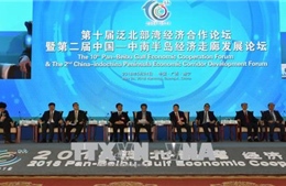 Việt Nam tham dự các Diễn đàn Kinh tế quốc tế quan trọng