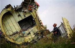 Nhóm điều tra: Tên lửa bắn rơi máy bay MH17 thuộc sở hữu của Quân đội Nga