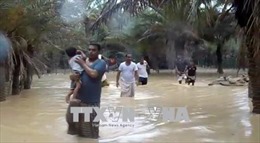 Yemen: Bão lớn càn quét đảo Socotra, ít nhất 17 người mất tích