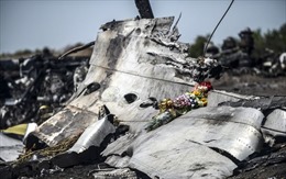 Vụ rơi máy bay MH17: Nga khẳng định Hà Lan không thể đưa ra bằng chứng