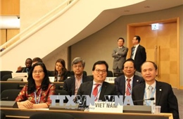 Việt Nam đẩy mạnh hợp tác quốc tế trong lĩnh vực y tế 