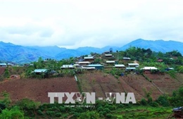 Cần giải quyết đúng quy định khi thu hồi đất của 40 hộ dân tại Tu Tra, Lâm Đồng