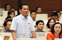 Nhiều đại biểu Quốc hội quan tâm vụ xét xử bác sĩ Hoàng Công Lương