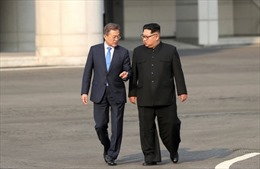 Tổng thống Hàn Quốc tất bật vì Hội nghị thượng đỉnh Mỹ-Triều