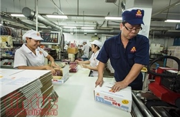 TP Hồ Chí Minh hướng đến môi trường làm việc an toàn lao động