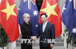 Cuộc họp Bộ trưởng Ngoại giao Việt Nam - Australia lần thứ nhất