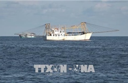 Bình Thuận hoàn thiện đội tàu công suất lớn, đánh bắt xa bờ 