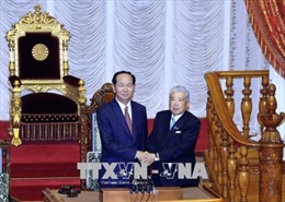 Nâng quan hệ Đối tác chiến lược Việt Nam - Nhật Bản lên tầm cao mới 