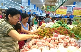 TP Hồ Chí Minh tập trung đẩy mạnh phát triển kinh tế xã hội, phấn đấu về đích sớm