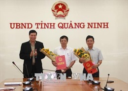 Quảng Ninh thành lập Ban Quản lý dự án hầm đường bộ qua vịnh Hạ Long