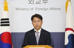 Nhiều hoạt động tham vấn chuẩn bị cho cuộc gặp thượng đỉnh Mỹ - Triều