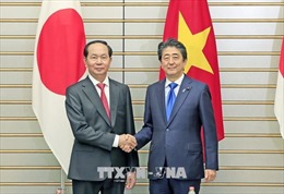 Chủ tịch nước Trần Đại Quang hội đàm với Thủ tướng Nhật Bản Shinzo Abe