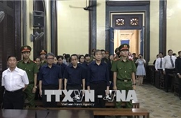 Tuyên phạt Hứa Thị Phấn 30 năm tù