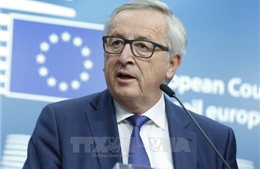 EU tuyên bố đáp trả tương xứng với thuế thép, nhôm của Mỹ