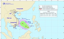 Chủ động ứng phó với vùng áp thấp trên khu vực giữa và Nam biển Đông