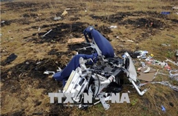 Vụ rơi MH17: Malaysia tuyên bố không có bằng chứng thuyết phục về sự liên quan của Nga 