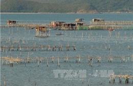 Phát triển ngành thủy sản Khánh Hòa - Bài cuối: Bảo tồn các nguồn tài nguyên thiên nhiên biển