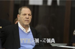 Thêm cáo buộc quấy rối tình dục đối với nhà làm phim Harvey Weinstein 