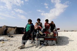 Không kích tại Đông Bắc Syria, ít nhất 12 dân thường thiệt mạng 