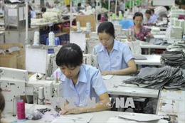 Dệt may Việt Nam duy trì mức tăng trưởng tại các thị trường truyền thống
