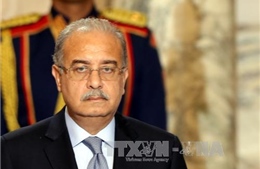 Ai Cập: Nội các của Thủ tướng Ismail đệ đơn từ chức 