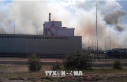 Cháy rừng gần nhà máy điện hạt nhân Chernobyl 