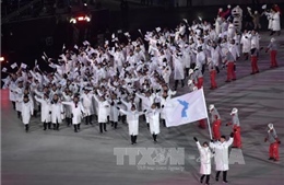 Hàn - Triều sẽ diễu hành dưới lá cờ chung tại Giải Vô địch Judo Đông Á 