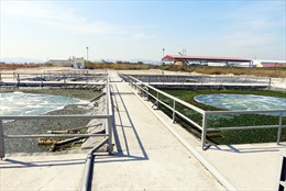 Quảng Ninh không khuyến khích dự án nguy cơ ảnh hưởng đến môi trường