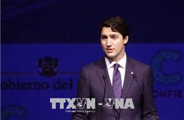 Canada lồng ghép toàn diện chủ đề bình đẳng giới trong năm Chủ tịch G7 