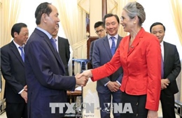 Chủ tịch nước Trần Đại Quang tiếp Đại sứ Hà Lan chào kết thúc nhiệm kỳ 