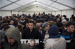 Vấn đề người di cư: Đức công bố dự luật đoàn tụ gia đình gây tranh cãi