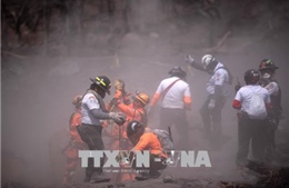 Núi lửa phun trào ở Guatemala: Tạm dừng công tác cứu hộ  