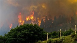 Mỹ sơ tán hàng trăm người do cháy rừng tại bang Colorado 