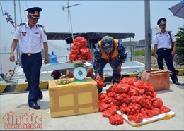 Một thuyền nan chở 55kg pháo nổ trên biển Quảng Ninh