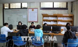 Hà Nội sáp nhập nhiều chi cục thuế cấp huyện 