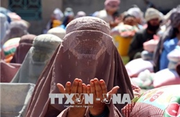 Afghanistan: Lực lượng Taliban tuyên bố ngừng bắn dịp lễ Eid al-Fitr