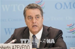 WTO cảnh báo gia tăng căng thẳng thương mại giữa Mỹ và đồng minh 