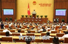 Quốc hội thảo luận dự thảo Luật Phòng, chống tham nhũng (sửa đổi)