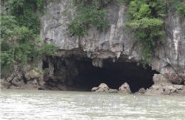 Bảo tồn và quản lý đất ngập nước - Bài 2: Lưu giữ giá trị thiên nhiên tại Vườn quốc gia Bái Tử Long
