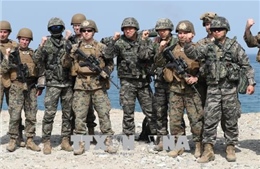 Quan chức Mỹ: Tập trận quân sự chung Mỹ - Hàn bị hoãn vô thời hạn 