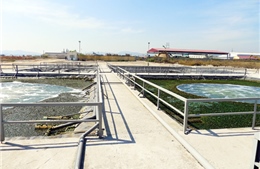Quảng Ninh xử lý dự án hóa chất nằm sát di sản vịnh Hạ Long 
